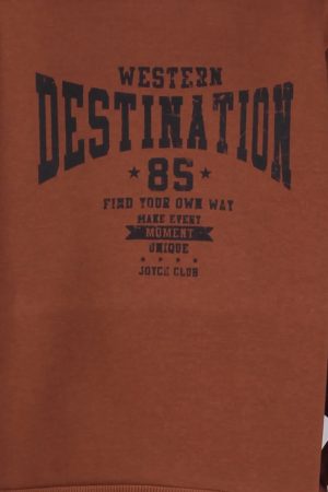 Alternative view of Σετ φόρμας αγόρι Joyce “Destination” καφέ 2664120