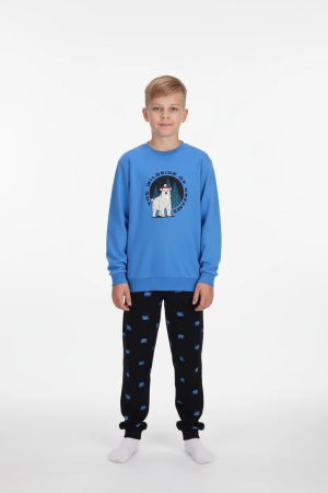 Πυζάμα αγόρι Dreams “Bears” μπλε 2676108